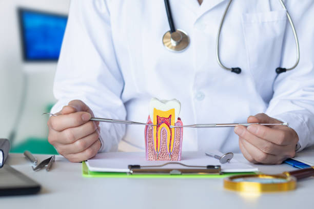 Best Emergency Dental Care for Abscessed Tooth in Niagara Falls, NY